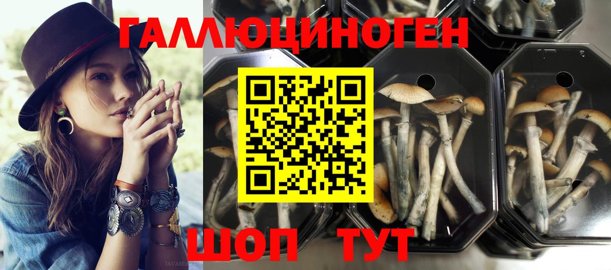 Елабуга  Псилоцибиновые грибы Magic Shrooms  Вход с VPN 